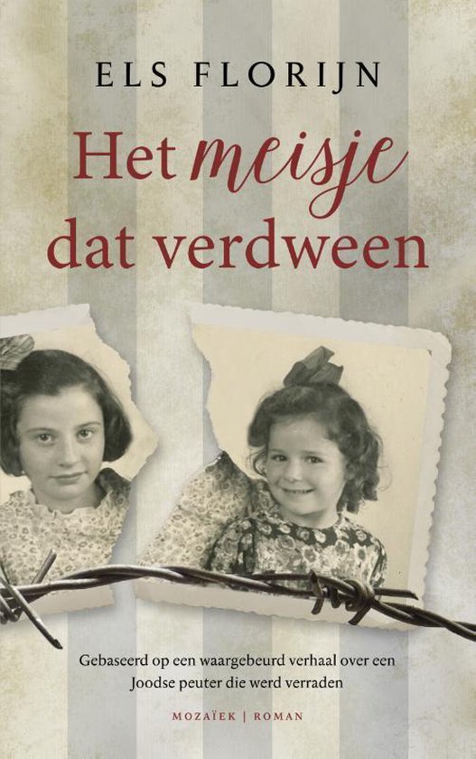 Het meisje dat verdween