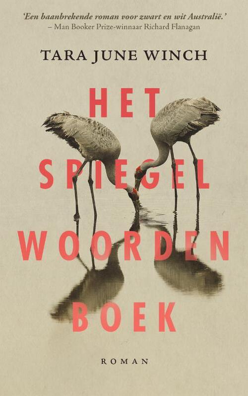 Het spiegelwoordenboek